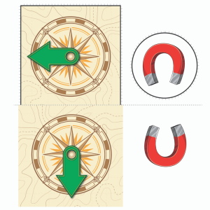 Crazy Compass